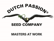 2016 dutch passion module