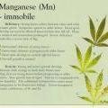 medium_manganese-info-marijuana