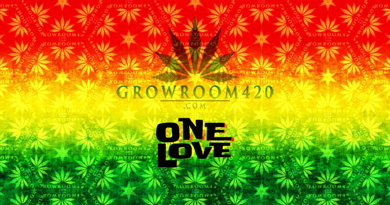 mn one love gr420 flag