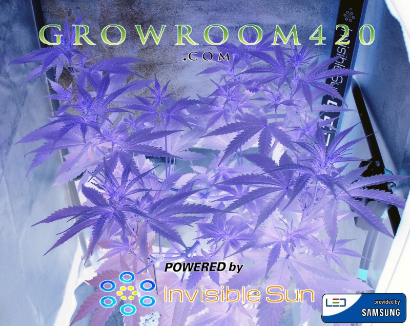 mn is gr420 powered by