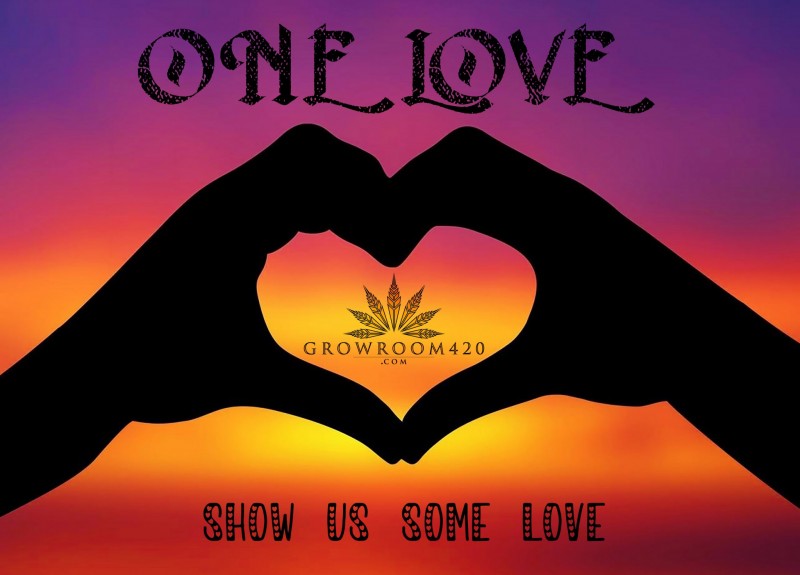 mn show your love for gr420 2
