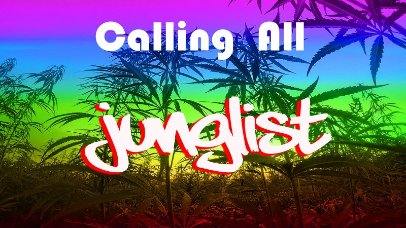mn calling all junglist