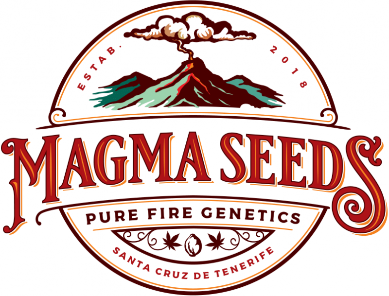 MAGMA SEEDS Main Logo-1