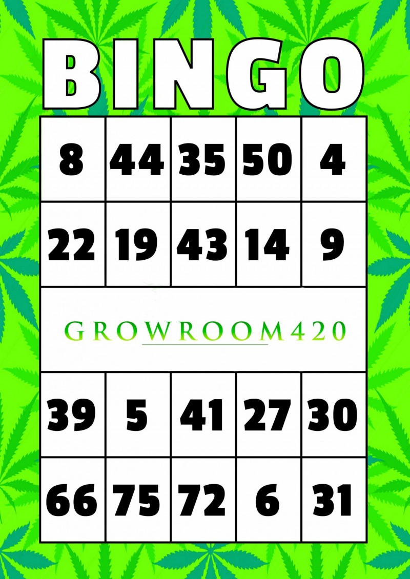 mn bingo card