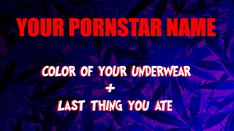 mn pornstar name