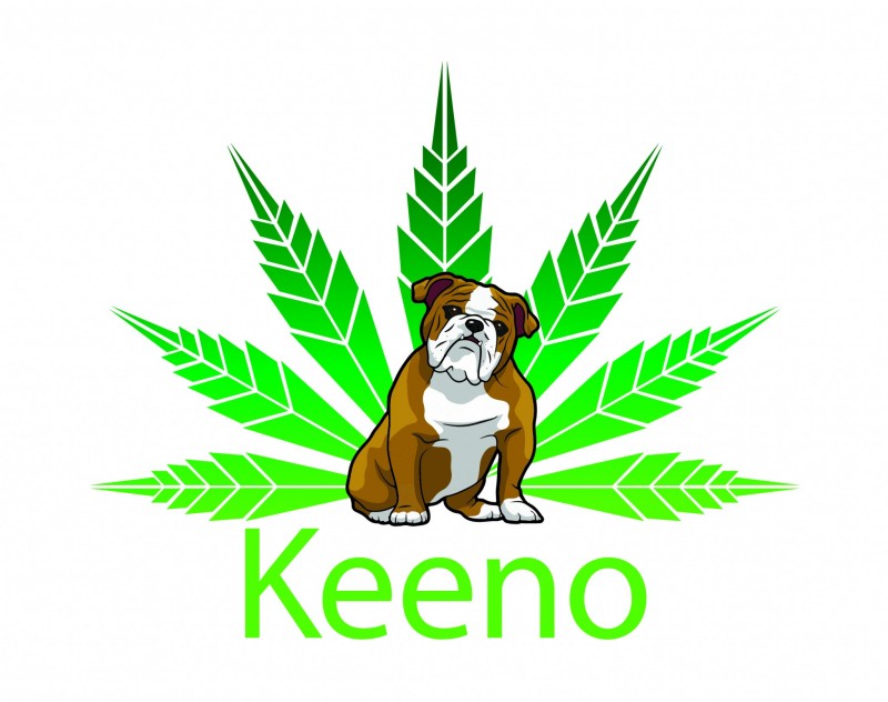 Keeno Logo_Final_JPG Version_300dpi-03