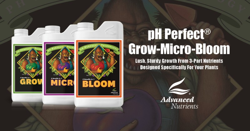 ph-perfect-grow-micro-bloom-1200x630